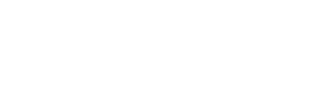 Neuro Surge Logo